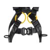 Petzl