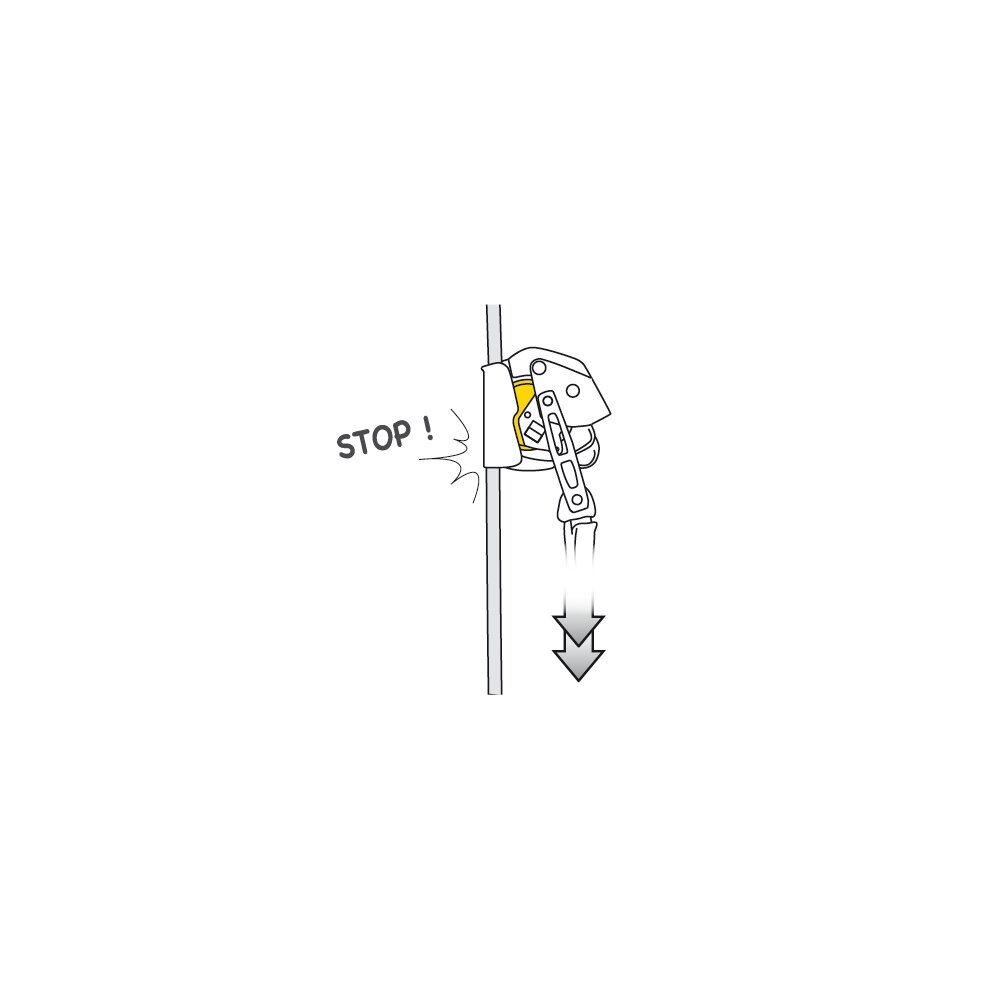 ASAP® LOCK, Petzl