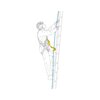Energy Absorber ASAP`SORBER Petzl