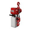 The air chain hoist RED ROOSTER TCR-2000 C2 series.
