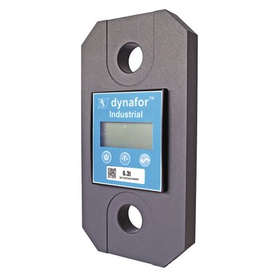 Crane Scale Tractel dynaforTM Industrial